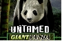 Untamed giant panda slot