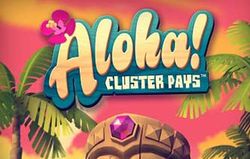 Aloha Cluster Pays logo