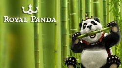 Bamboo Bonus Royal Panda