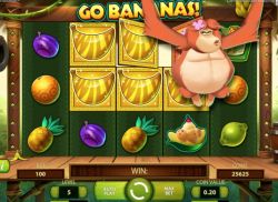 Go Bananas slot