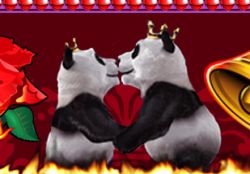 Kissing panda bears