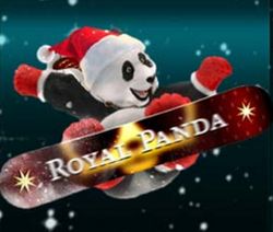 Royal Panda December calendar