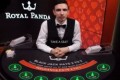 Royal Panda Live Blackjack tafel