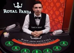 Royal Panda Live Blackjack tafel