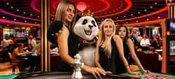 Royal Panda live roulette