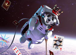 Space panda