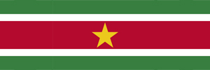 Flag Suriname