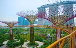 Gardens by the Bay