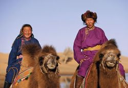 Mongols on camels