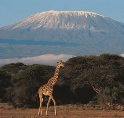 Mount Kilimanjaro