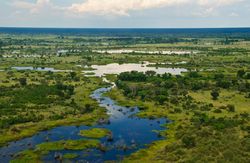 Okavango Delta