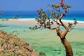 Somalia beach