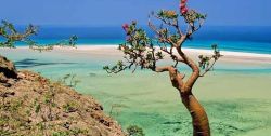 Somalia beach