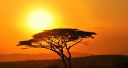 South Sudan landscape