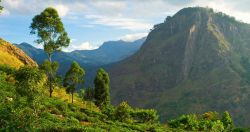 Sri Lanka